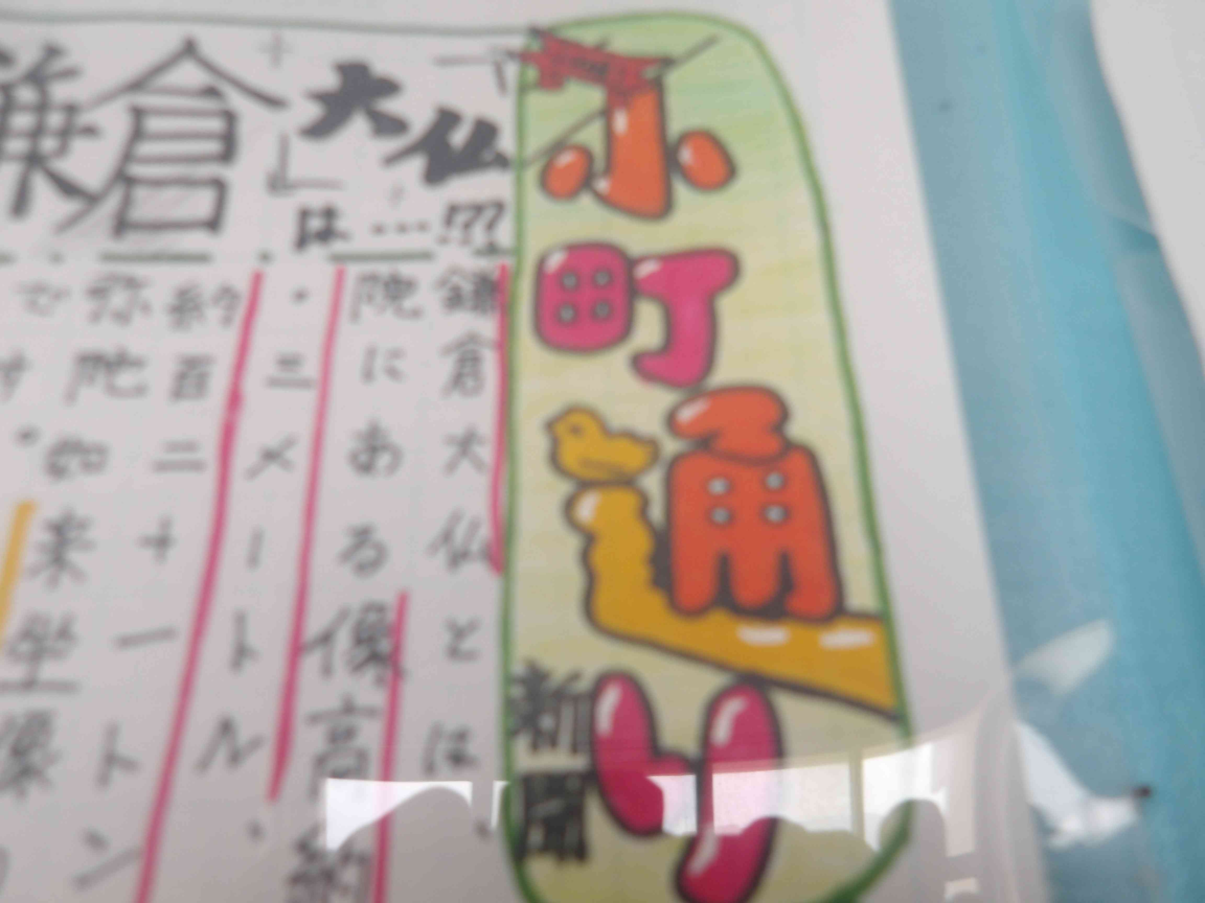 IMGP1561