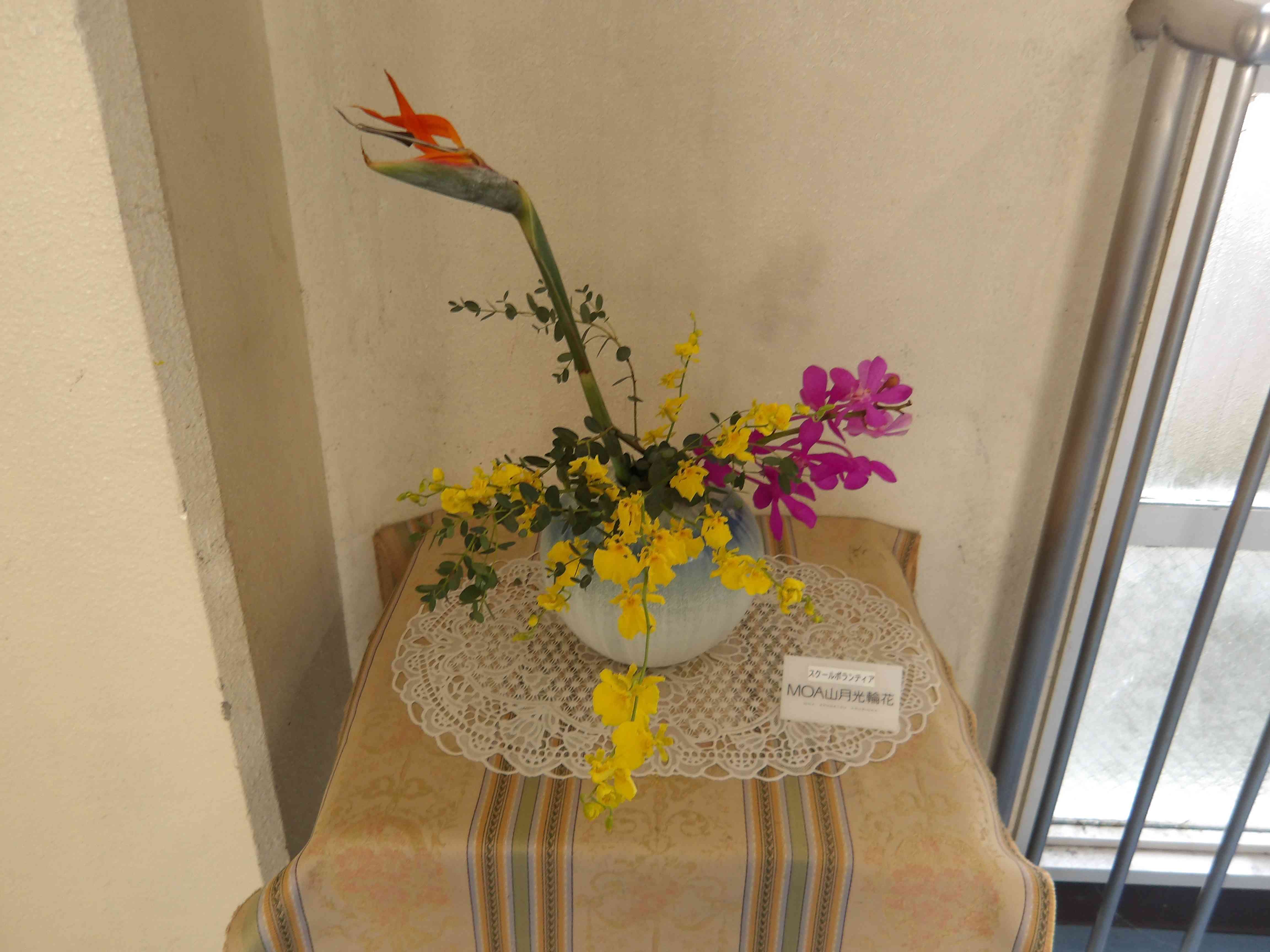 IMGP1748